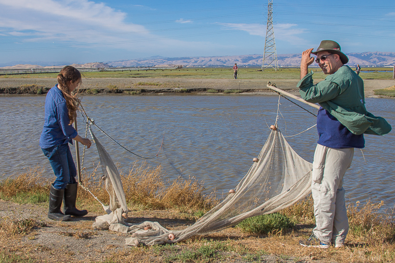 baylands